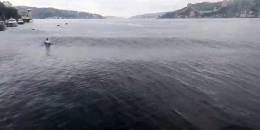 Deprem esnasında İstanbul Boğazı’nda oluşan dalgalar görüntülendi