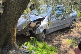 Köpeğe çarpmamak için kaza yaptı