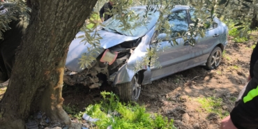 Köpeğe çarpmamak için kaza yaptı