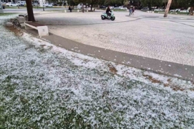 Kar değil polen