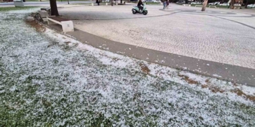Kar değil polen