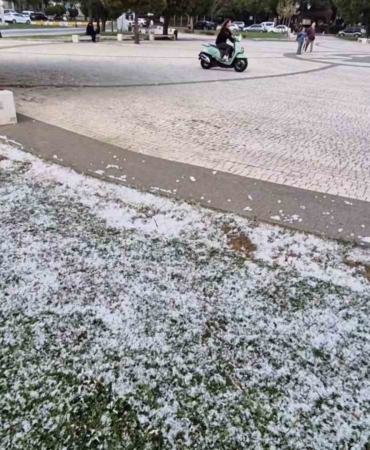 Kar değil polen