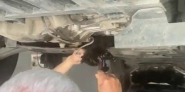 Otomobilin motoruna giren kediyi tamirci kurtardı