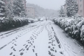 Bilecik’teki kar bazı köy yollarını ulaşıma kapattı