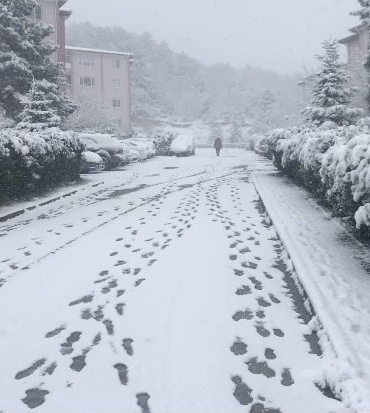 Bilecik’teki kar bazı köy yollarını ulaşıma kapattı