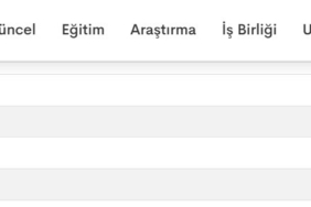 İstanbul Üniversitesi diplomasını iptal etmişti, Galatasaray Üniversitesi’nde ‘Naciye Aylin Ataay Saybaşılı" sessizliği