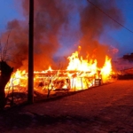 Bursa’da bir köye panik yaşatan yangın