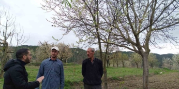 Gölpazarı’nda fenolojik gözlemler ve don riskine karşı önlemler