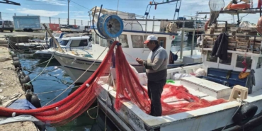 Tekirdağ’da av yasağı başladı: 250 bin liralık ağlar müsilajda kayboldu