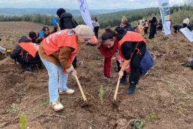 "81 İlde 81 Orman" Projesi kapsamında Bursa’da 10 bin fidan toprakla buluştu