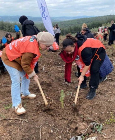 "81 İlde 81 Orman" Projesi kapsamında Bursa’da 10 bin fidan toprakla buluştu