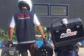 Fatih Belediyesi’nden doğaya can: Motovet ekibi yaralı kanatlıları hayata kazandırıyor