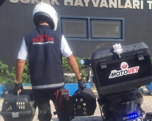 Fatih Belediyesi’nden doğaya can: Motovet ekibi yaralı kanatlıları hayata kazandırıyor