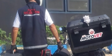 Fatih Belediyesi’nden doğaya can: Motovet ekibi yaralı kanatlıları hayata kazandırıyor