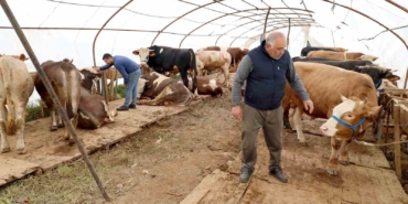 Başiskele’deki kurbanlık satış yerinde hazırlıklar tamam