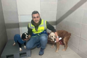 Bursa Büyükşehir, bayramda da can dostların yanında