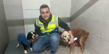 Bursa Büyükşehir, bayramda da can dostların yanında