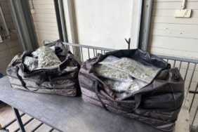 23 kilo 800 gram esrarı Türkiye’ye sokacaklardı