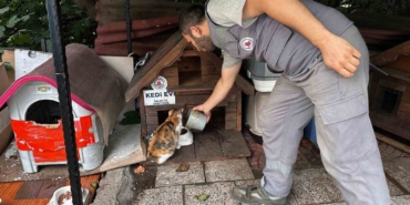 Kağıthane’de bir yılda 10 bin 882 can dost rehabilite edildi