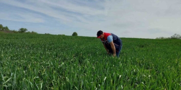 Keşan’da süne sürvey çalışmaları devam ediyor