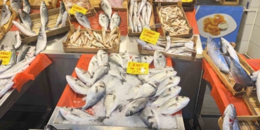 Yasak kapıda: Balıkçılar sezonun son siftahlarını yapıyor