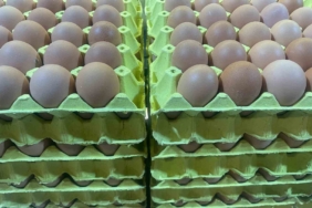 Yumurta fiyatları "mayıs çukuru" yaklaşınca düşüşe geçti