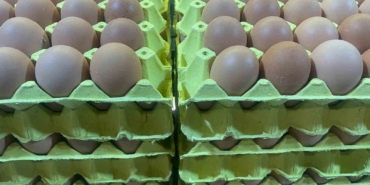 Yumurta fiyatları "mayıs çukuru" yaklaşınca düşüşe geçti