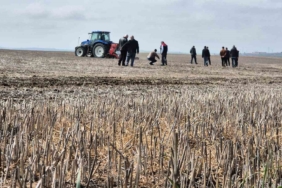 Tekirdağ’da anıza ekim dönemi: Anıza ekim Türkiye’ye örnek olacak