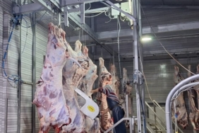 Tekirdağ’da yasal olmayan hayvan sevkine 105 bin ceza