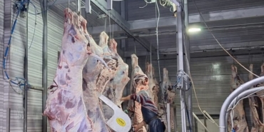 Tekirdağ’da yasal olmayan hayvan sevkine 105 bin ceza