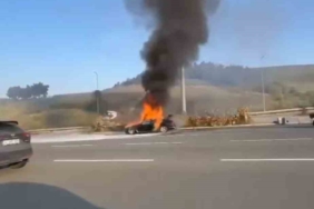 Otomobil alevlere teslim oldu