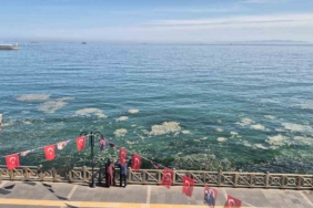 Tekirdağ kıyılarında müsilaj benzeri beyaz tabaka tedirgin etti