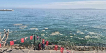 Tekirdağ kıyılarında müsilaj benzeri beyaz tabaka tedirgin etti