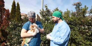 Kırık bacakla geldi, adı "Şanslı" oldu