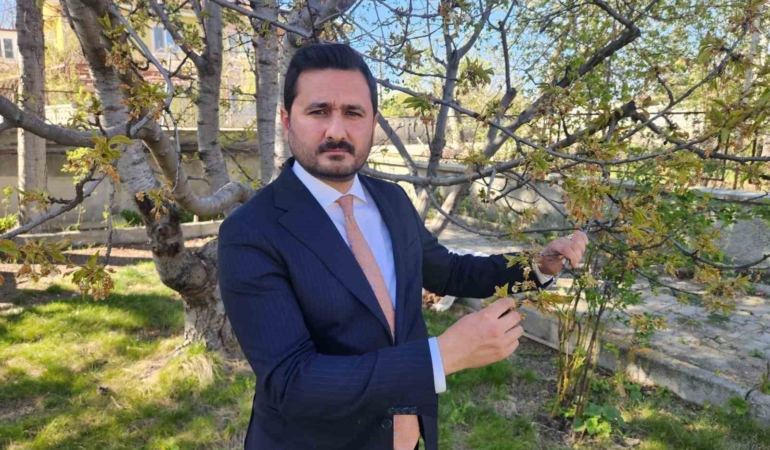 "Kraliyet kirazı" bu yıl çok az olacak