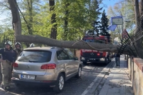 Sarıyer’de şiddetli rüzgarda ağaç otomobilin üzerine devrildi