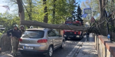 Sarıyer’de şiddetli rüzgarda ağaç otomobilin üzerine devrildi