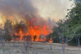 (ÖZEL) Çanakkale’de 4 hektar ormanlık alanın etkilendiği yangına sebep olan 2 kardeşe 4 milyon 600 TL para cezası kesildi