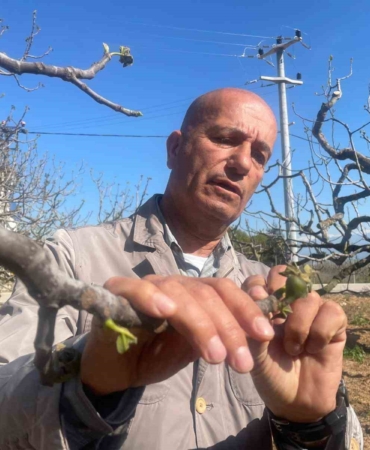 Zirai don Bursa siyahını çok etkilemedi