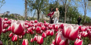 Bursa’ya lale çok yakışıyor
