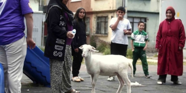 (Özel) Kuzuya evlatları gibi bakıyorlar