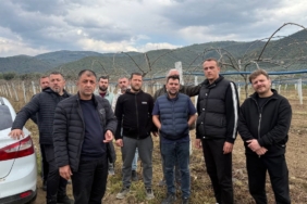 İznik Ovası’nı don vurdu