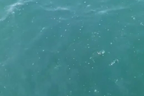 Depreme denizde yakalandılar: "Marmara açıklarında bir gürültü koptu, tekne sallandı"