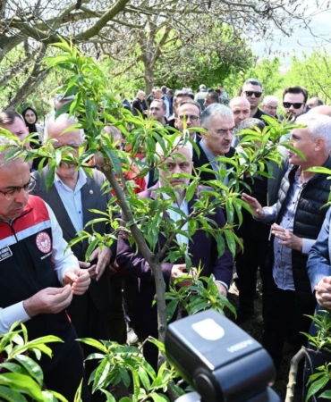 Bakan Yardımcısı Gümen: "Bazı yerlerde yüzde 10, bazı yerlerde ise yüzde 100 hasar oranı var"