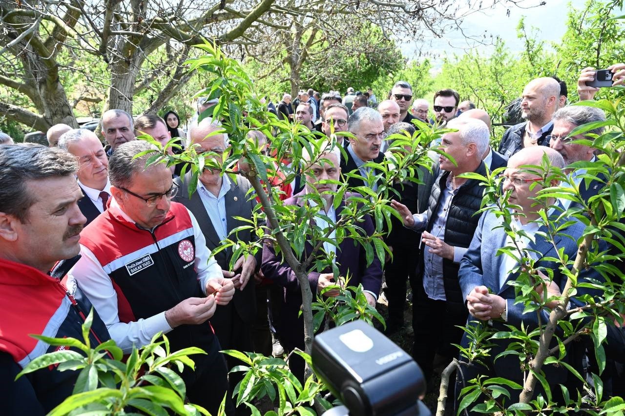 Bakan Yardımcısı Gümen: "Bazı yerlerde yüzde 10, bazı yerlerde ise yüzde 100 hasar oranı var"