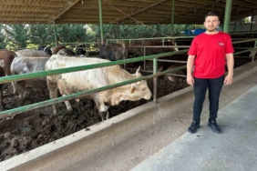 Kurbanlık fiyatlarında geçen yıla oranla büyük değişiklik yok