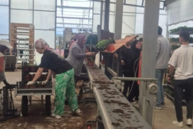 Öğrenciler çiçeklerle sürdürülebilirliği keşfetti