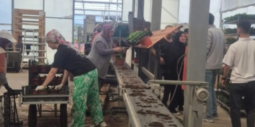Öğrenciler çiçeklerle sürdürülebilirliği keşfetti