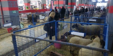 Ezine’de 2. Gıda, Hayvancılık ve Tarım Teknolojileri Festivali yoğun ilgi gördü