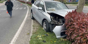 Tekirdağ’da refüje çıkan otomobil ağaca çarptı: 3 yaralı